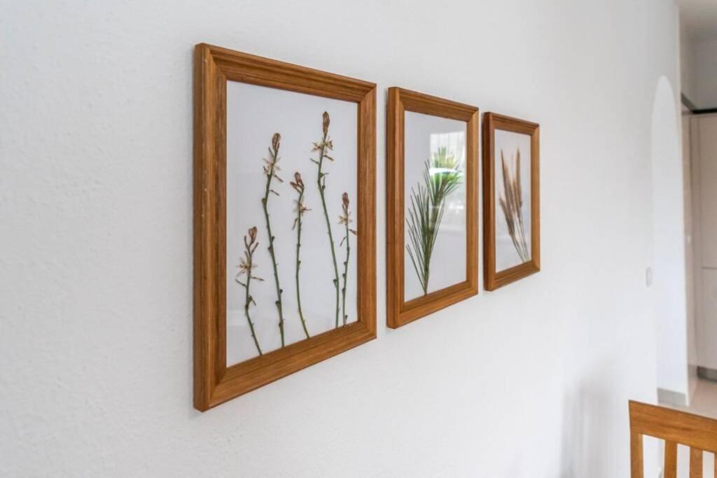 Turalmeria - Casa Tranquila Con Jardin Y Aparcamiento Privado 엘 포소 데 로스 프라일레스 외부 사진